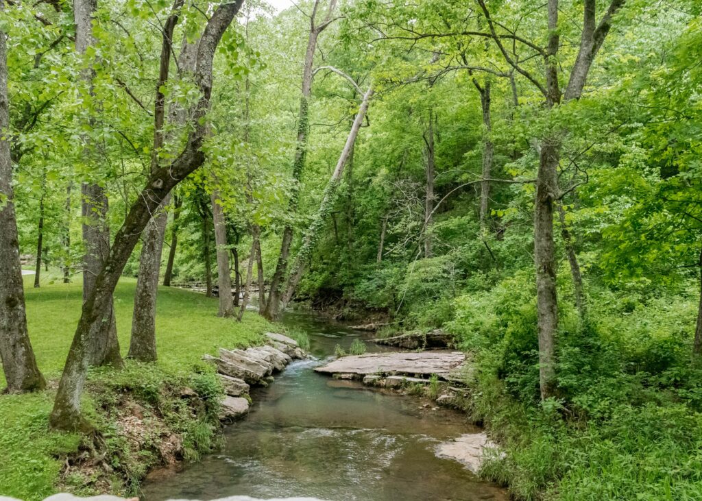 Dogwood Canyon Missouri